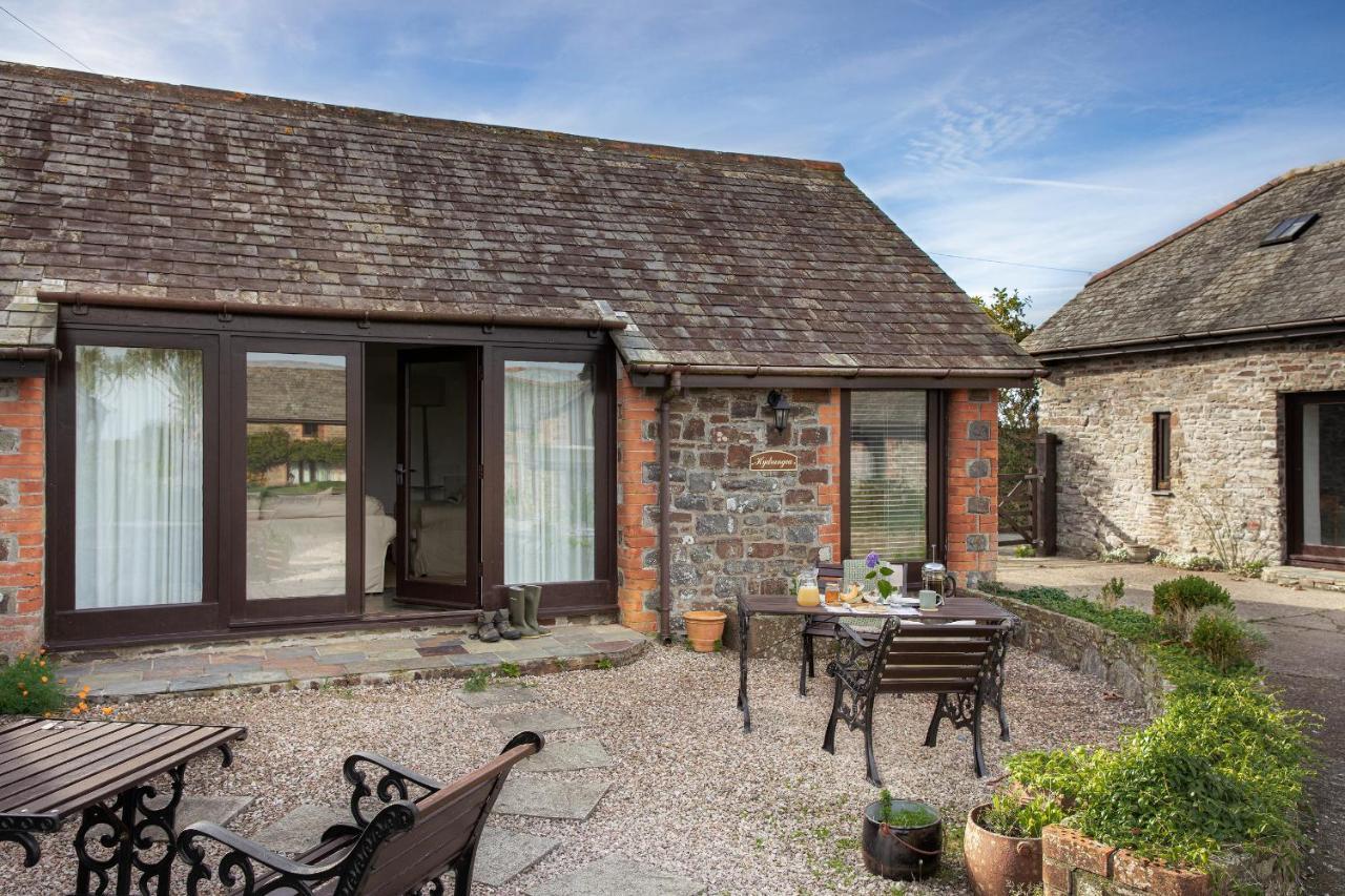 Downe Cottages Hartland Ngoại thất bức ảnh