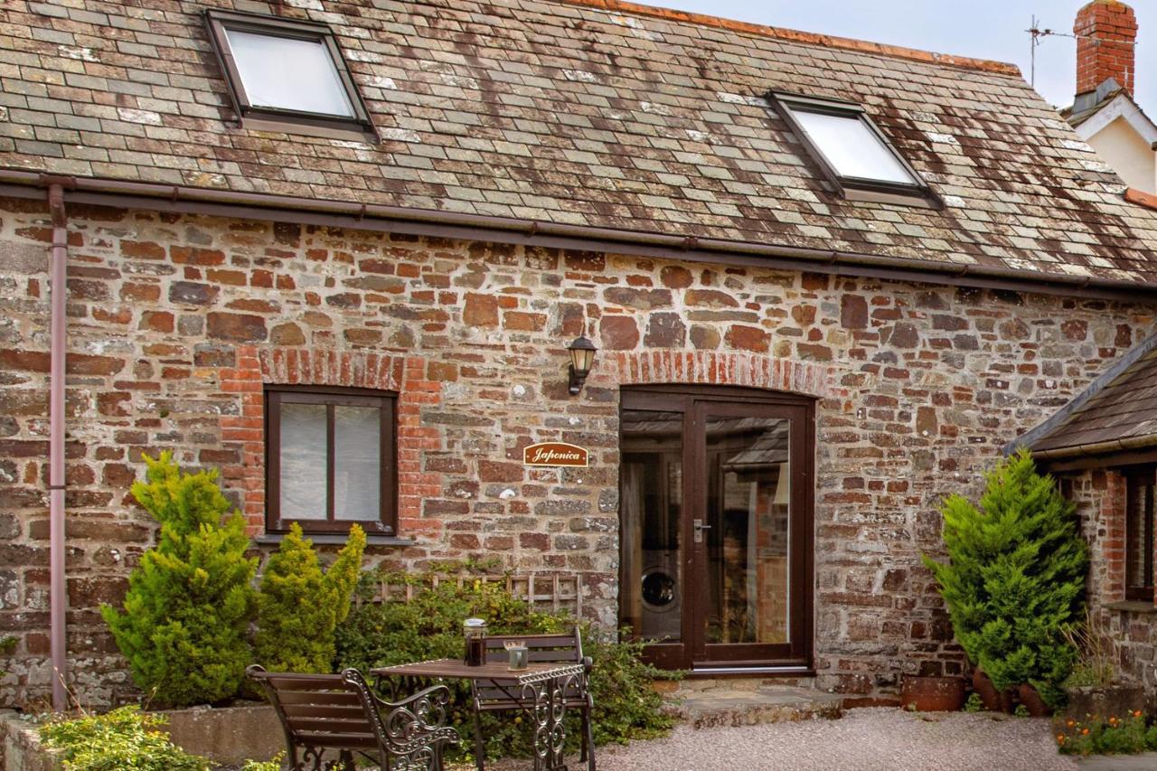 Downe Cottages Hartland Ngoại thất bức ảnh